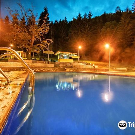 Day In Borjomi Apartment Luaran gambar